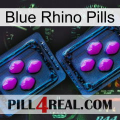 Blue Rhino Pills 03